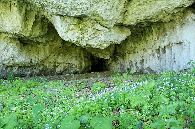 Župkova jaskyňa II