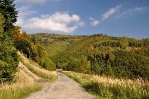 Pod Brýzgalkou