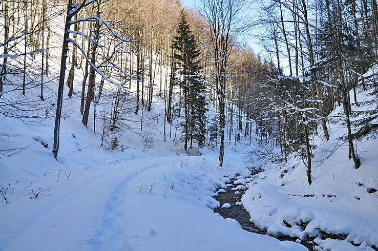Snežnicovačka Bystrickou dolinou