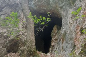 Kráľovská jaskyňa