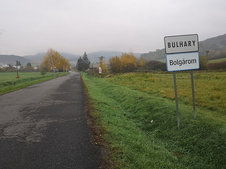 Bulhary