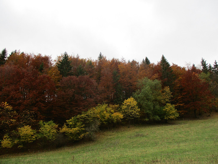 Jesenné Strážovské lesy
