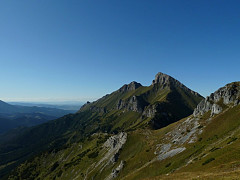 fotka