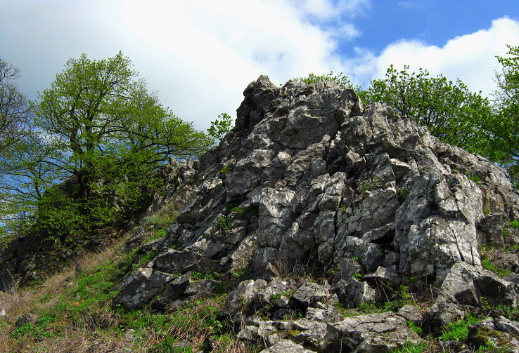 Taricové skaly