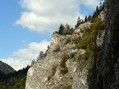fotka