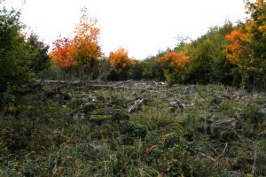 Jeseň v Slanských vrchoch
