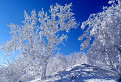 Zima konečne aj v Malých Karpatoch / 1.0909