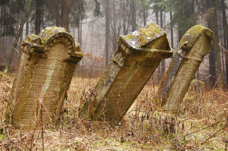 Hroby v lese