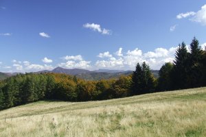 Lúky nad Homôlkou.