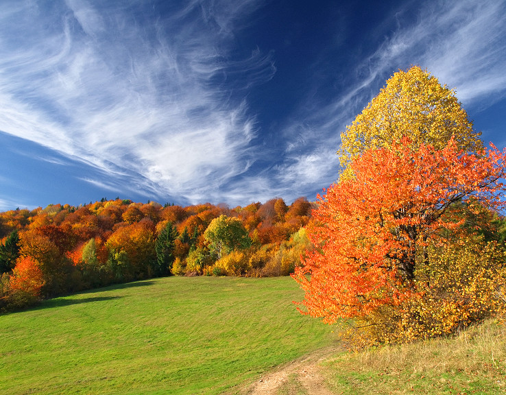 jesenné farbičky Kysuckých vrchov