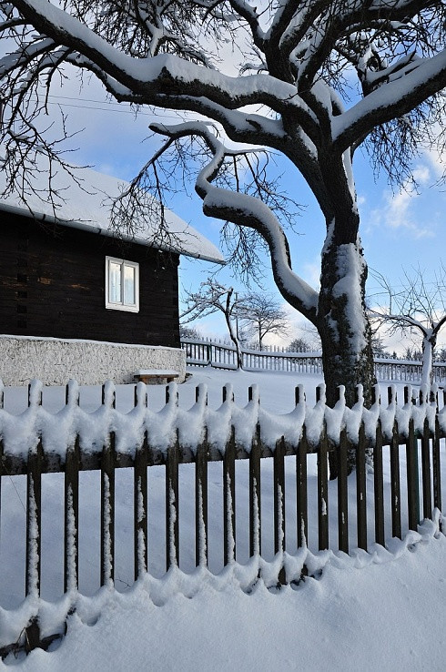 Zima u Taranovcov