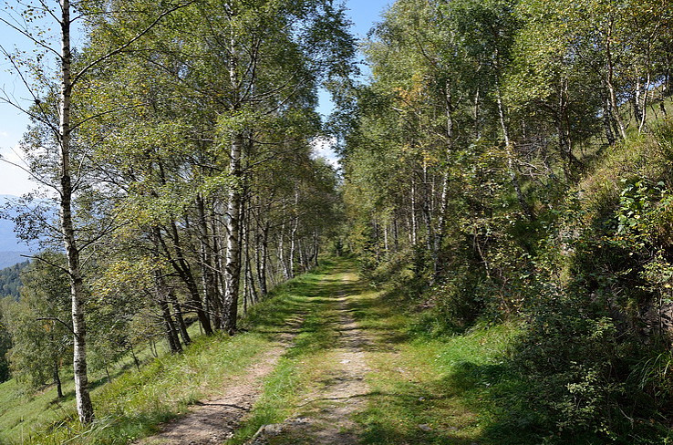cesta z Volovca