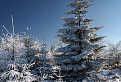 Zima na Kojšovskej holi