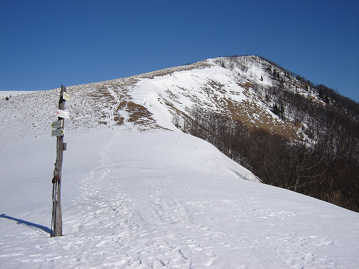Kozí chrbát (1330 m)
