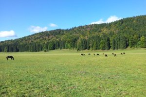 Muránska planina