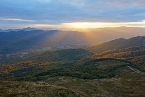 Tarnica nesklamala