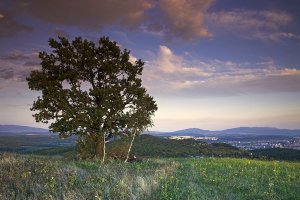 Podvečer nad Košicami