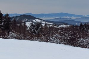 smer Poľana