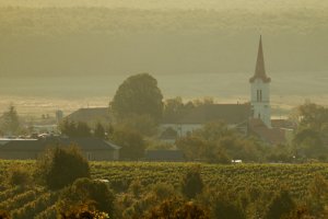 Dubová