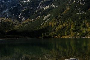 Jastrabia veža