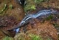 Strážovský spodný vodopád