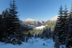Začiatkom zimy