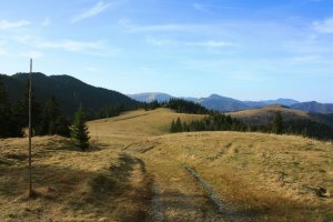 Ploská, Borišov, Ostrá, Tlstá