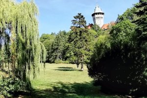 V parku