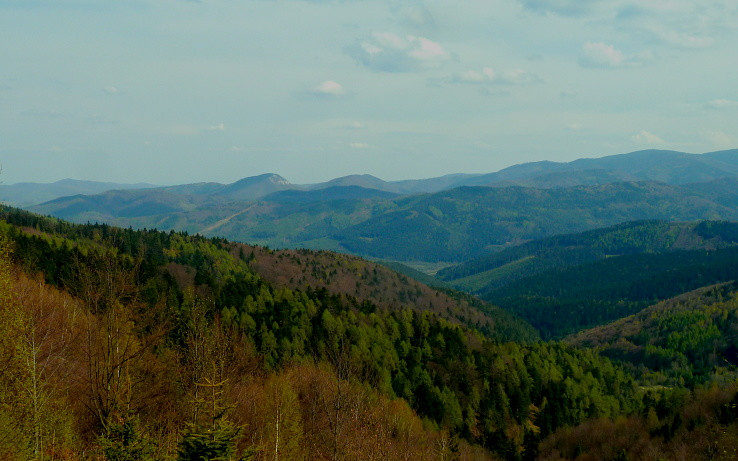 jarné lesy okolo Gelnice