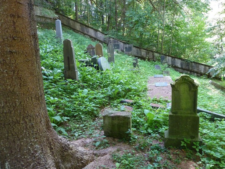Židovský cintorín v lese