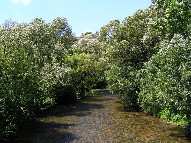 rieka Revúca