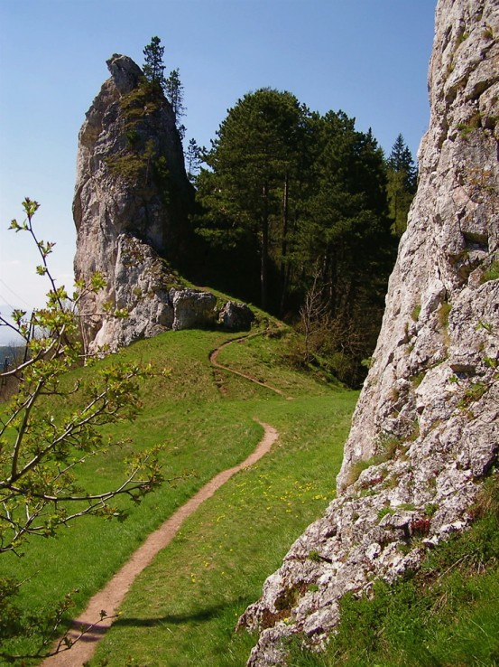 Cestička k hradu Vršatec