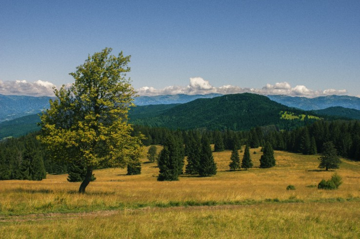 Ponická Bukovina