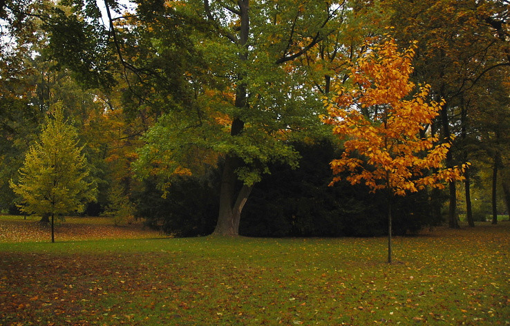 jesen v parku