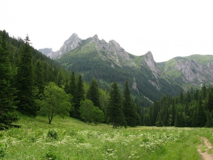 Giewont