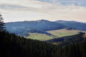 Kysucká krajina II