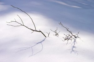 Snežná tieňohra