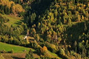 Jeseň nad Zdychavou