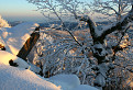 Krása malokarpatských zim :-)