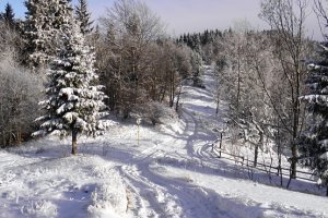 Nad Mičekovcami