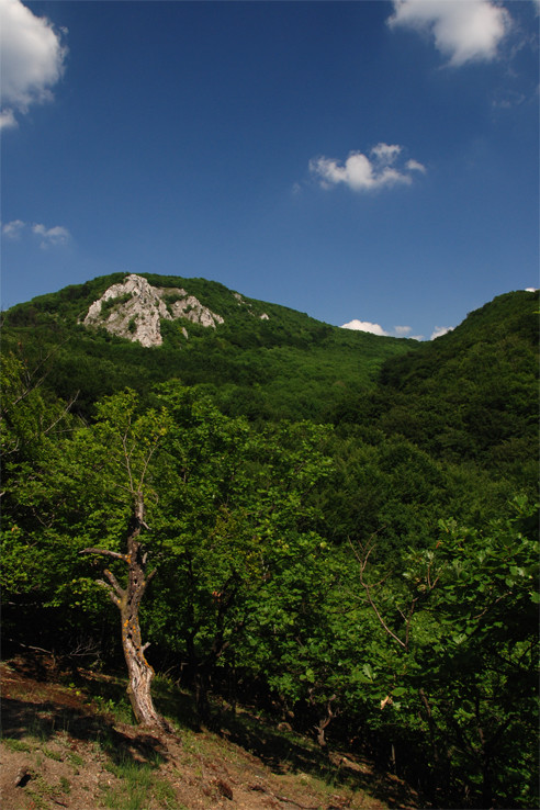 Malá Vápenná sponad Sološnickej doliny