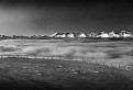 Panorama Vysokych Tatier z Kralovej hole BW