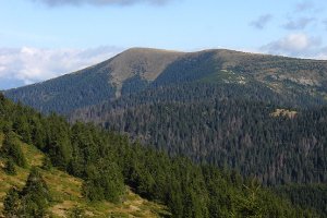 Jesenná Bokovka