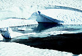 Ľadovec pri Piatich spišských plesách
