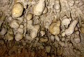 Demänovská jaskyňa slobody - bublinové stalagtity