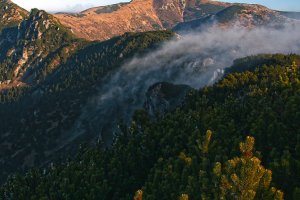 Archívne, neskorá jeseň II.