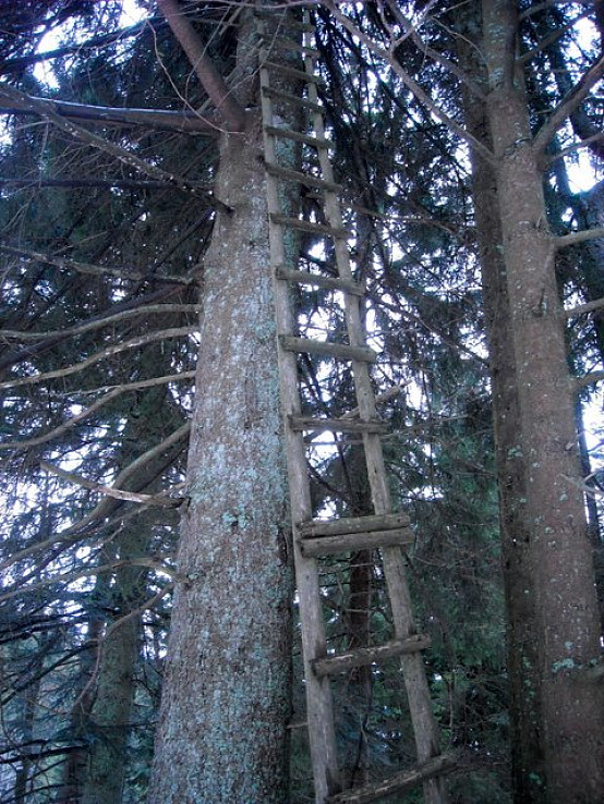Popoluškin rebrík 