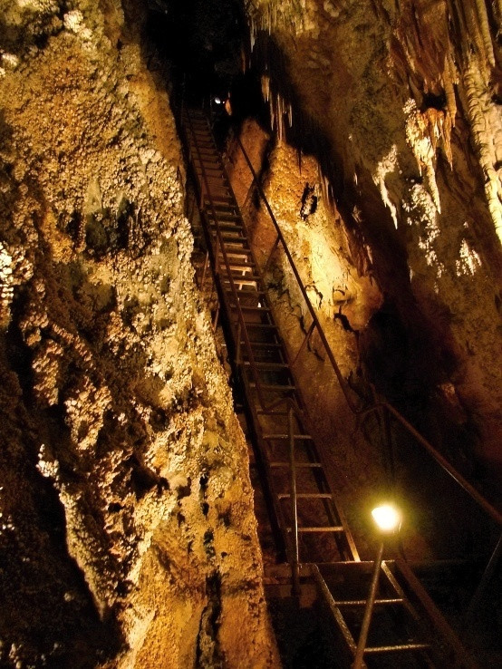 Jaskyňa Rákoczi - rebrík