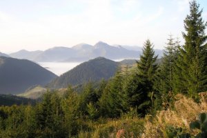 Inverzia
