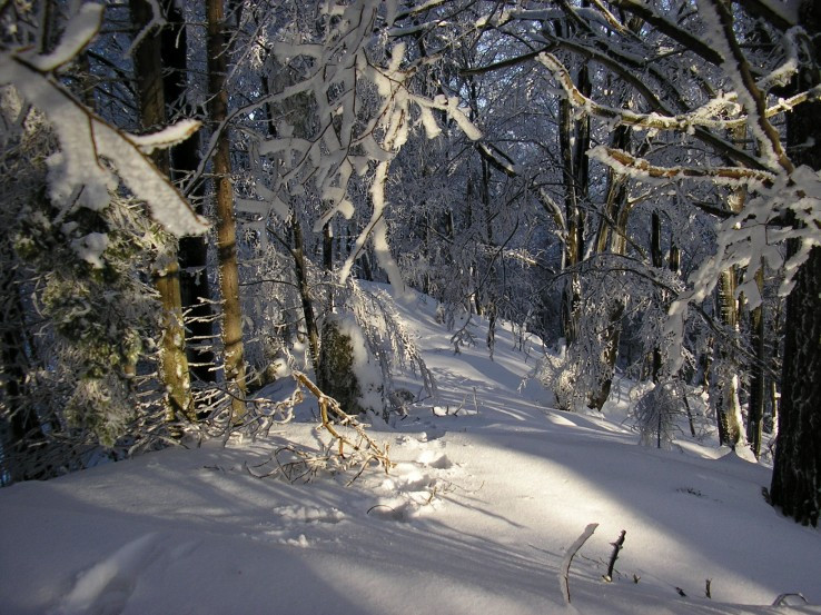 Zima v Súľovských vrchoch